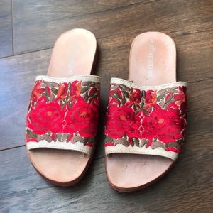 Jeffery Campbell Rose Flat Sandal